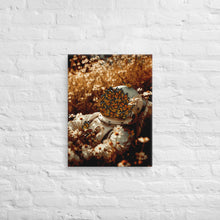 Load image into Gallery viewer, Golden Hour - Canvas