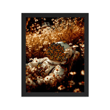 Load image into Gallery viewer, Golden Hour - Framed