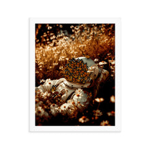 Load image into Gallery viewer, Golden Hour - Framed