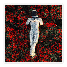 Load image into Gallery viewer, Daydream - Sticker