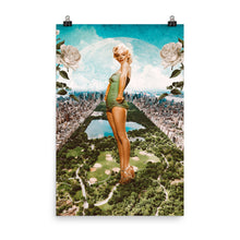 Load image into Gallery viewer, Central Park - Poster