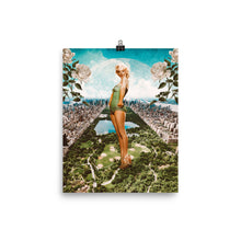 Load image into Gallery viewer, Central Park - Poster